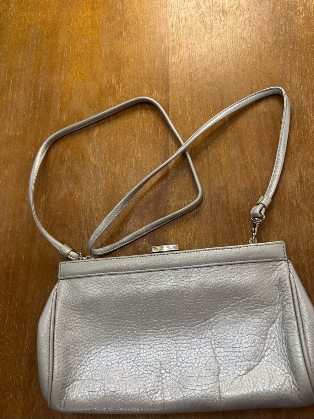 Preston & York Silver Metallic Leather Crossbody Bag